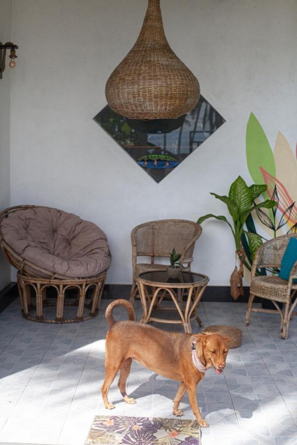 Marshmallow Homestay Ahangama Exteriér fotografie