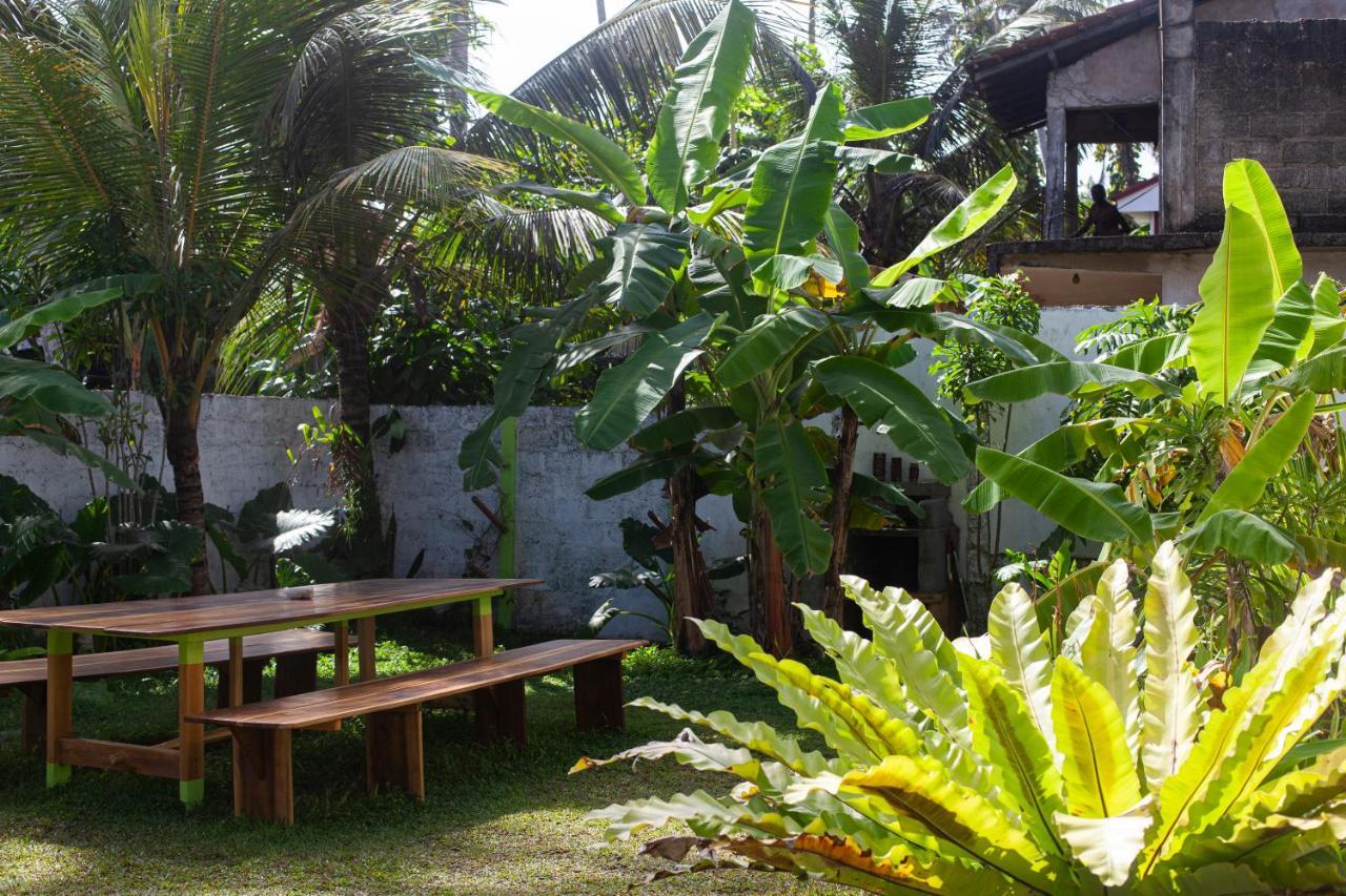Marshmallow Homestay Ahangama Exteriér fotografie