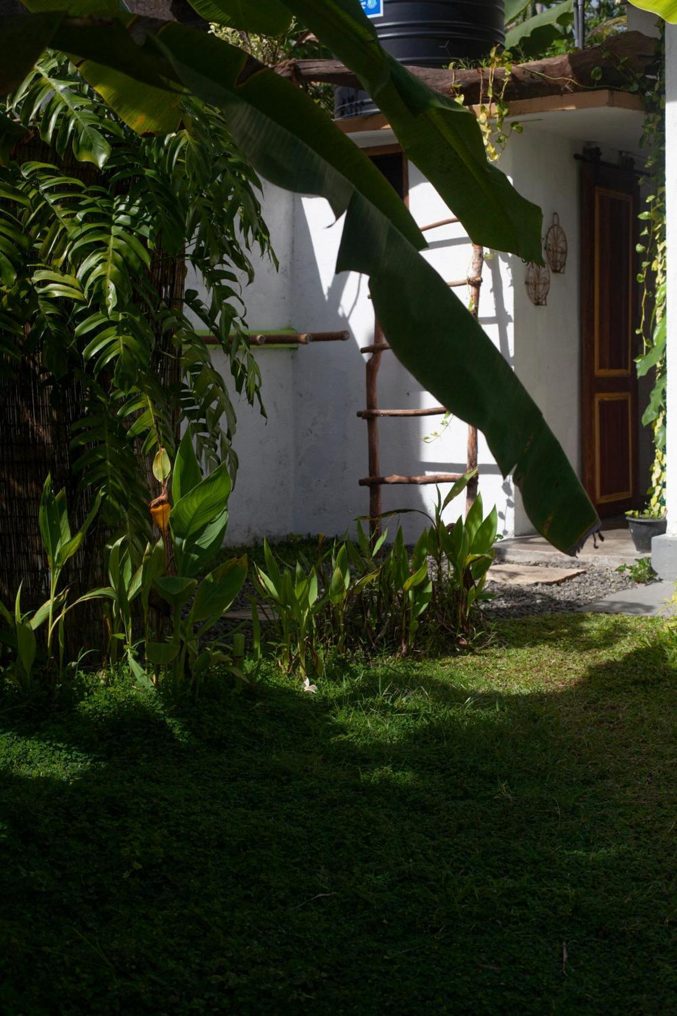 Marshmallow Homestay Ahangama Exteriér fotografie